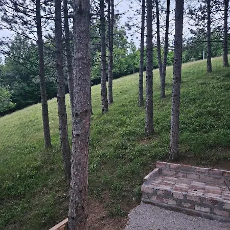 Villa House In A Quiet Neighborhood With A Huge Garden