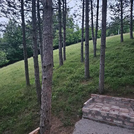 House In A Quiet Neighborhood With A Huge Garden * Vidovici