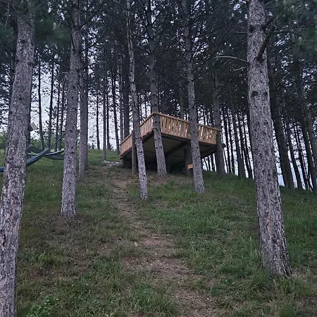 Villa House In A Quiet Neighborhood With A Huge Garden *